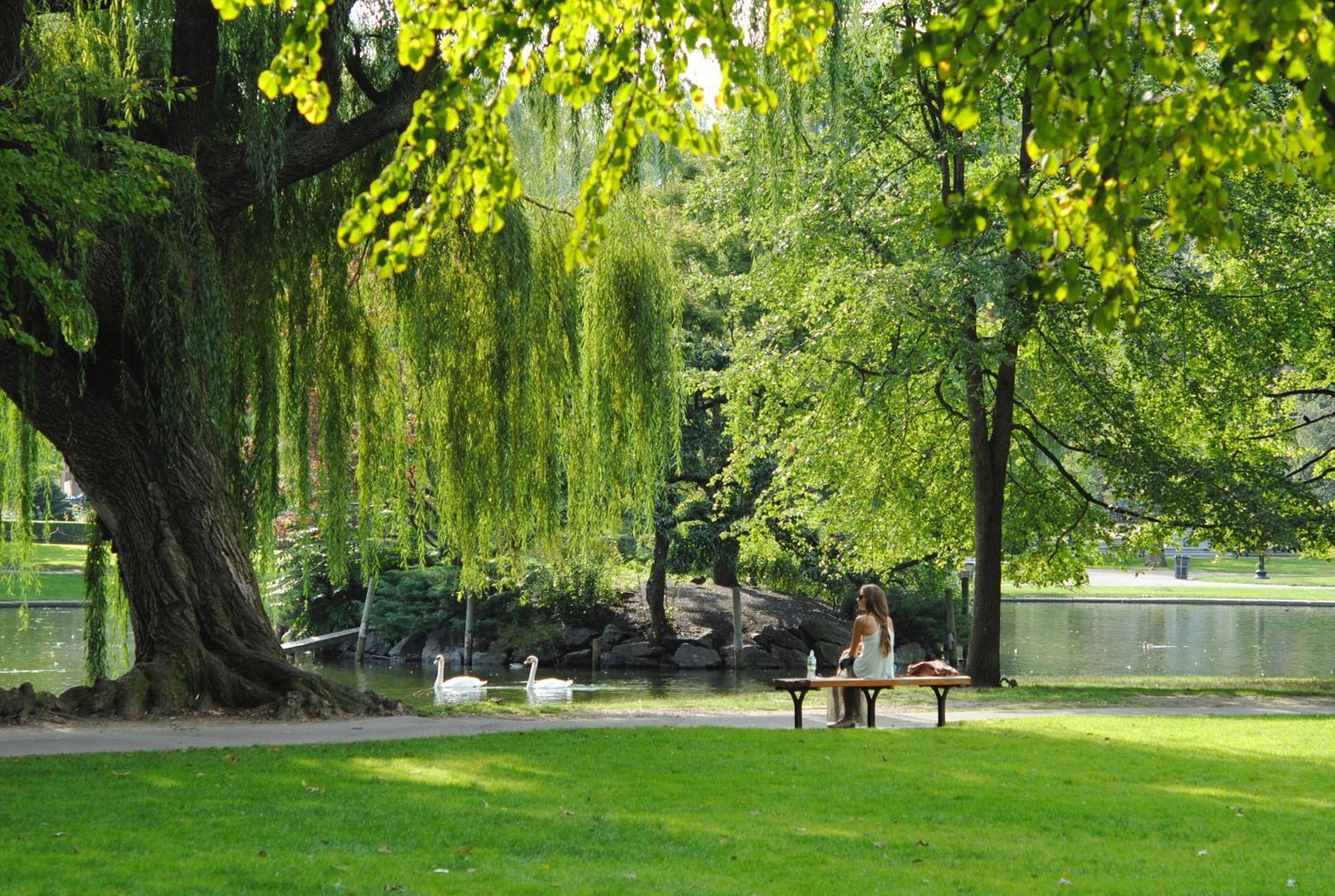 Trendy 2 Bedroom Accommodation On Perfect Location Amsterdam Eksteriør billede